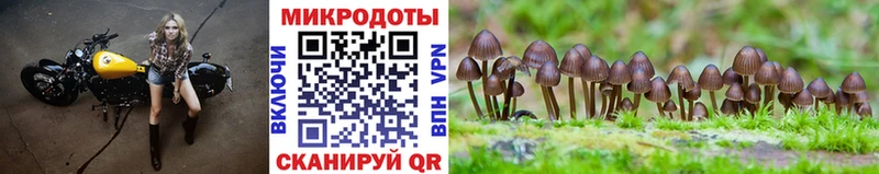 Псилоцибиновые грибы MAGIC MUSHROOMS  Калач 